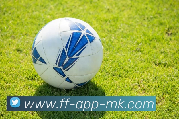 App Interface Preview